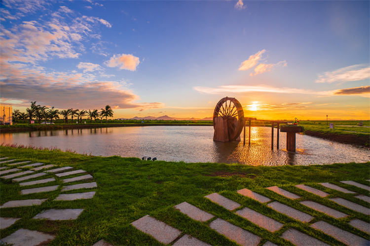 濕地公園4.jpg