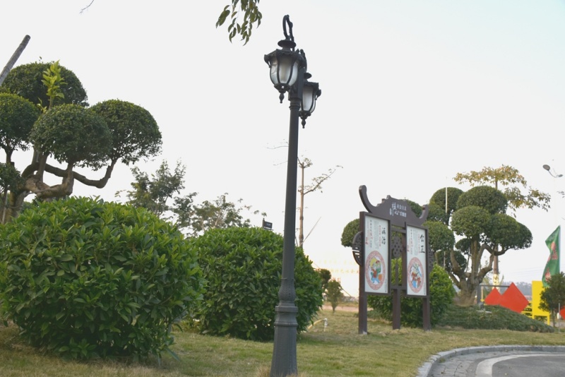 主題公園4.jpg