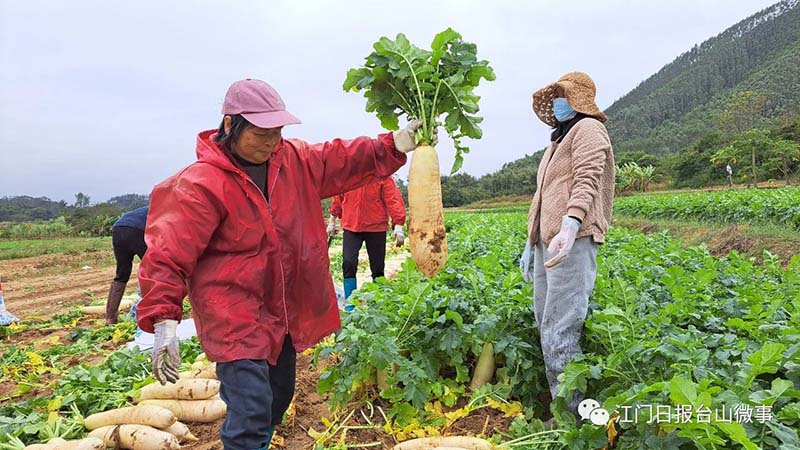 微信圖片_20231222095039.jpg