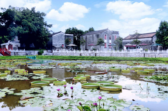 美麗桂水.png